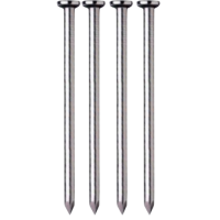 Prego Cabeça Simples